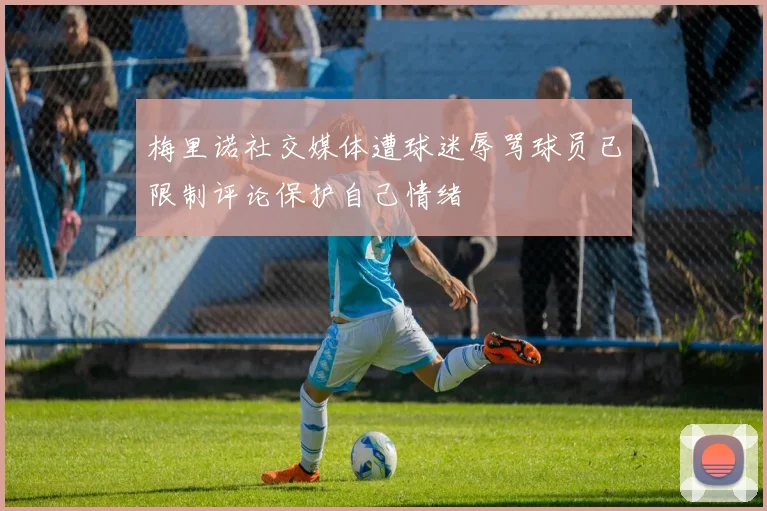 梅里诺社交媒体遭球迷辱骂球员已限制评论保护自己情绪