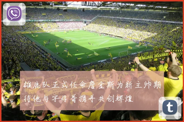 雄鹿队正式任命詹金斯为新主帅期待他与字母哥携手共创辉煌