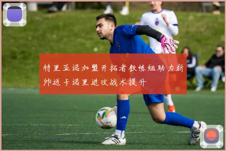 特里亚诺加盟开拓者教练组助力新帅迈卡诺里进攻战术提升